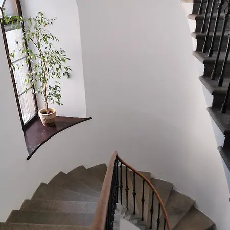 Apartmán Am Neuen Dom *